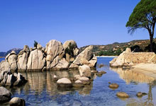 欧博官网:美国队连输巴拿马、加拿大!波切蒂诺:现在发现问题比将来好.